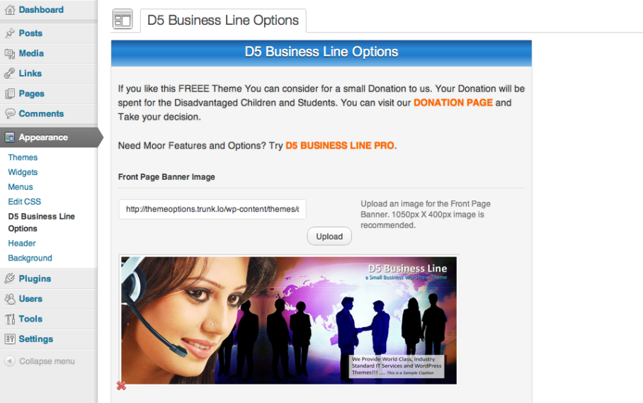 D5 Business Line Theme Options
